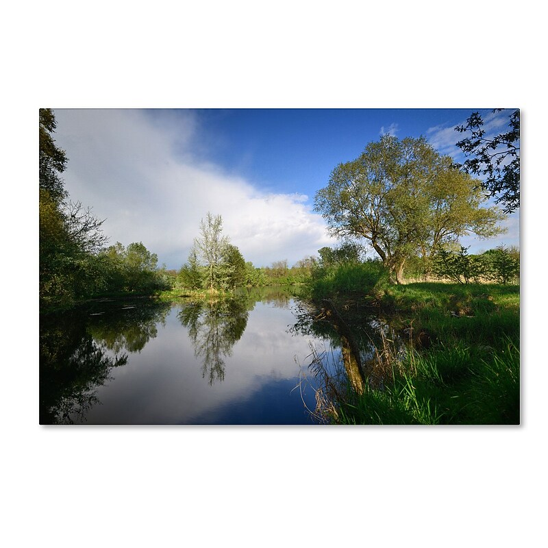 Trademark Philippe Sainte-Laudy "Rise Above" Gallery-Wrapped Canvas Art, 30" x 47" image 1
