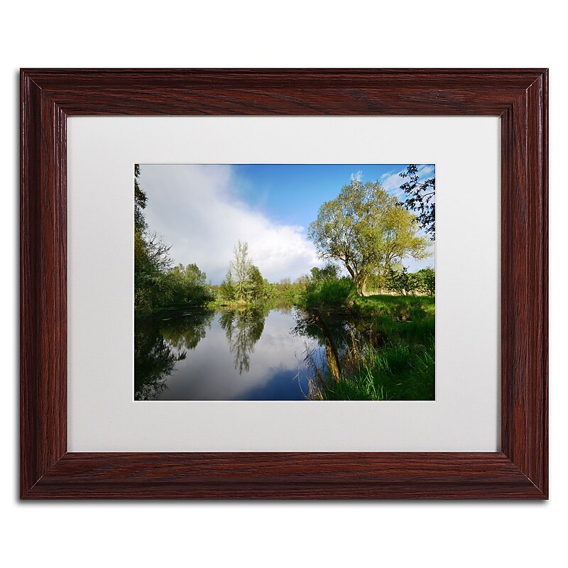 Trademark Philippe Sainte-Laudy "Rise Above" Art, White Matte With Wood Frame, 11" x 14" image 1