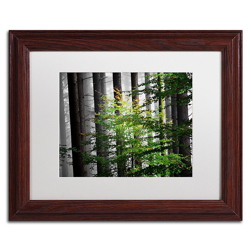 Trademark Philippe Sainte-Laudy "The Cell" Art, White Matte With Wood Frame, 11" x 14" image 1