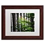 Trademark Philippe Sainte-Laudy "The Cell" Art, White Matte With Wood Frame, 11" x 14"~#|#~m001704047_sc7