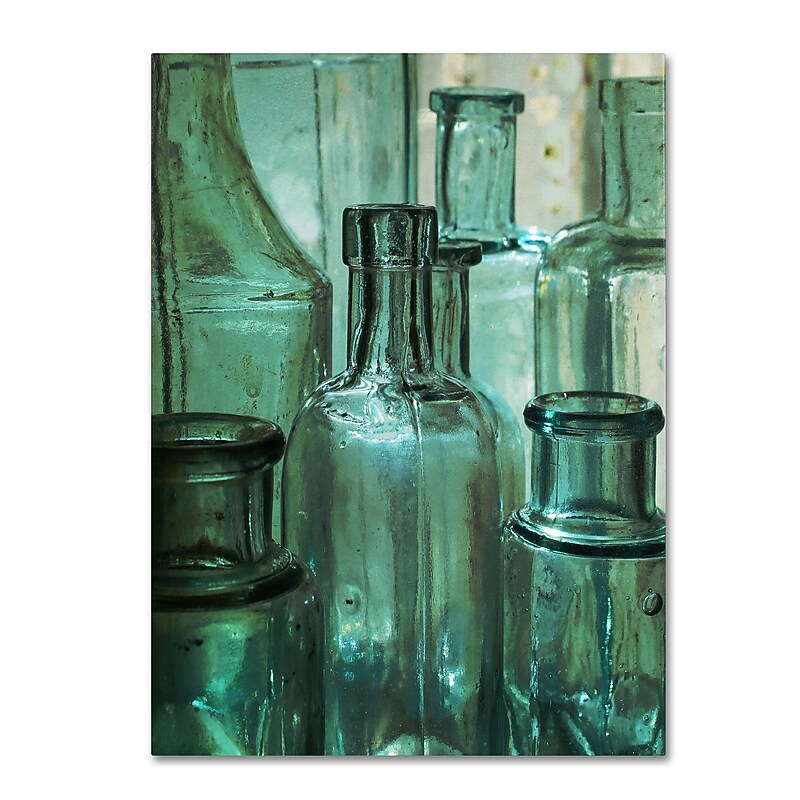 Trademark Patty Tuggle "Antique Bottles" Gallery-Wrapped Canvas Art, 14" x 19" image 1