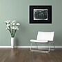 Trademark Patty Tuggle "Forest Dreams" Art, Black Matte With Black Frame, 16" x 20"~#|#~m001704096_sc7