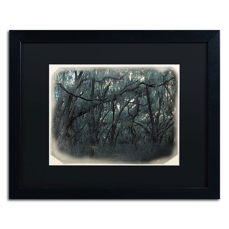 Trademark Patty Tuggle "Forest Dreams" Art, Black Matte With Black Frame, 16" x 20" image 1
