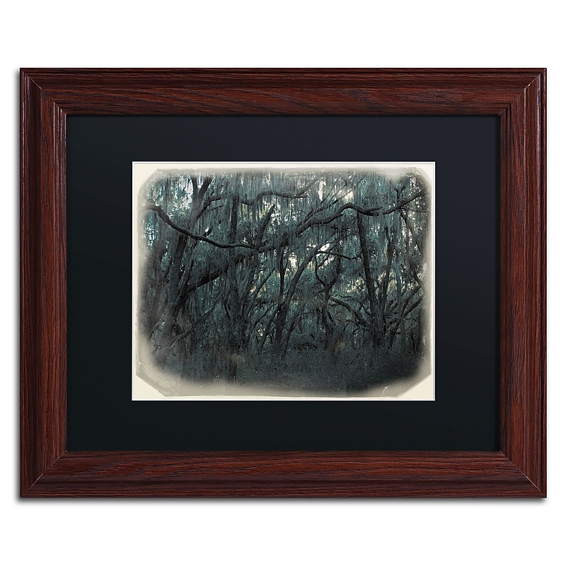Trademark Patty Tuggle "Forest Dreams" Art, Black Matte With Wood Frame, 11" x 14" image 1