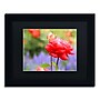 Trademark Patty Tuggle "In Bloom" Art, Black Matte With Black Frame, 11" x 14"~#|#~m001704107_sc7