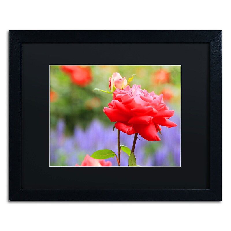Trademark Patty Tuggle "In Bloom" Art, Black Matte With Black Frame, 16" x 20" image 1