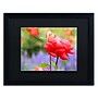 Trademark Patty Tuggle "In Bloom" Art, Black Matte With Black Frame, 16" x 20"~#|#~m001704110_sc7