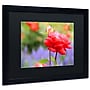 Trademark Patty Tuggle "In Bloom" Art, Black Matte With Black Frame, 16" x 20"~#|#~m001704111_sc7