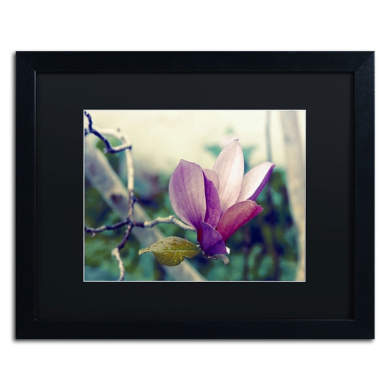 Trademark Patty Tuggle "Pink Magnolia" Art, Black Matte With Black Frame, 16" x 20" image 1