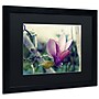Trademark Patty Tuggle "Pink Magnolia" Art, Black Matte With Black Frame, 16" x 20"~#|#~m001704119_sc7
