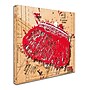 Trademark Roderick Stevens "Snap Purse Red" Gallery-Wrapped Canvas Art, 14" x 14"~#|#~m001704752_sc7