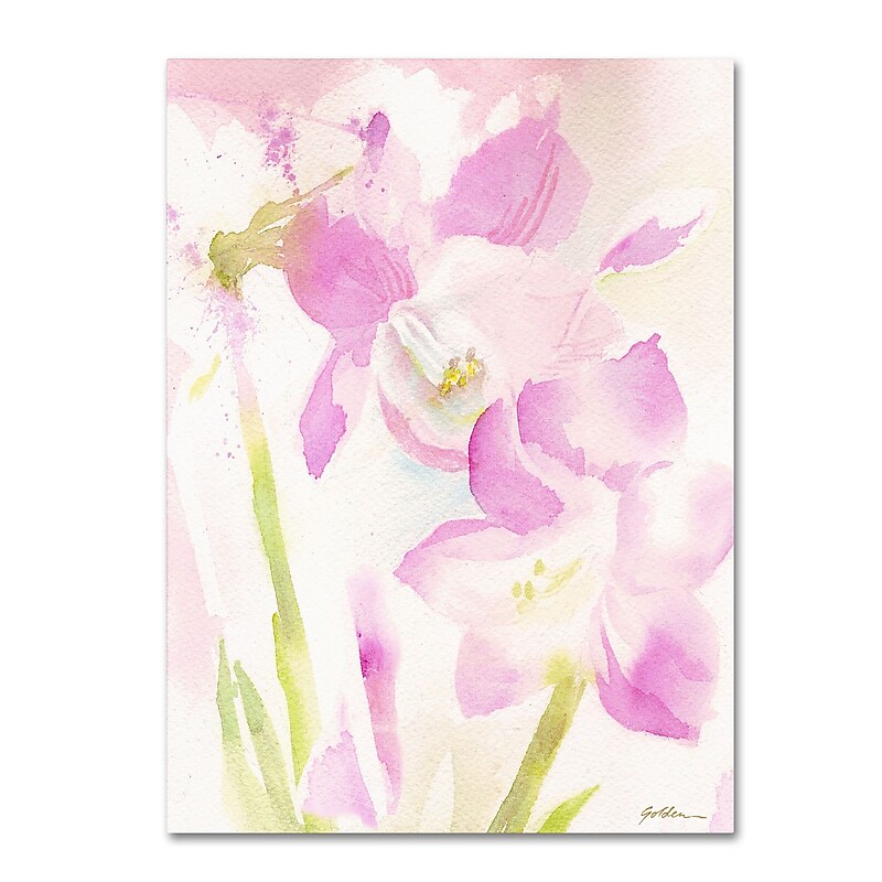 Trademark Sheila Golden "Amaryllis Blossoming" Gallery-Wrapped Canvas Art, 14" x 19" image 1