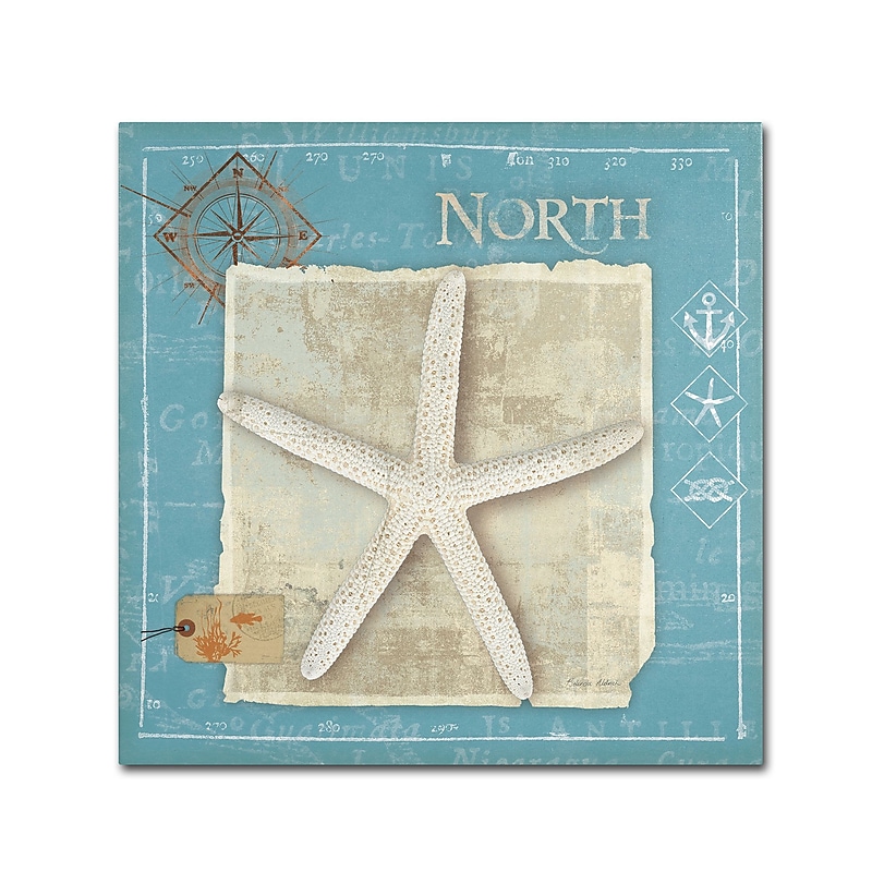 Trademark Belinda Aldrich "Points North" Gallery-Wrapped Canvas Art, 14" x 14" image 1