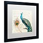 Trademark Daphne Brissonnet "Majestic Beauty II Square" Art, White Matte W/Black Frame, 16" x 16"~#|#~m001706266_sc7