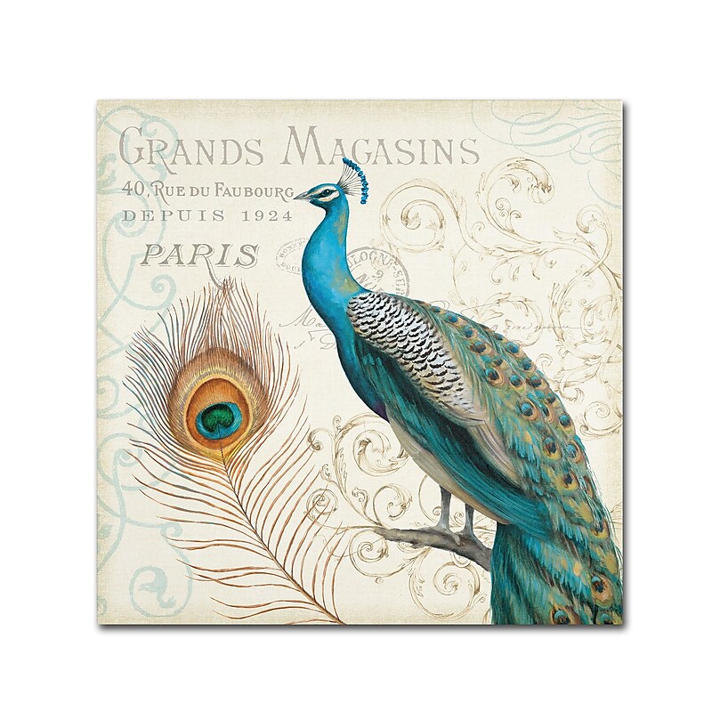 Trademark Daphne Brissonnet "Majestic Beauty II Square" Gallery-Wrapped Canvas Art, 14" x 14" image 1