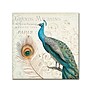 Trademark Daphne Brissonnet "Majestic Beauty II Square" Gallery-Wrapped Canvas Art, 14" x 14"~#|#~m001706267_sc7