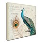 Trademark Daphne Brissonnet "Majestic Beauty II Square" Gallery-Wrapped Canvas Art, 14" x 14"~#|#~m001706268_sc7