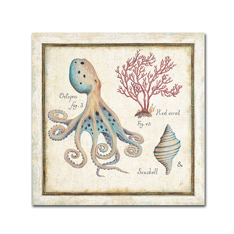 Trademark Daphne Brissonnet "Oceanography I" Gallery-Wrapped Canvas Art, 24" x 24" image 1