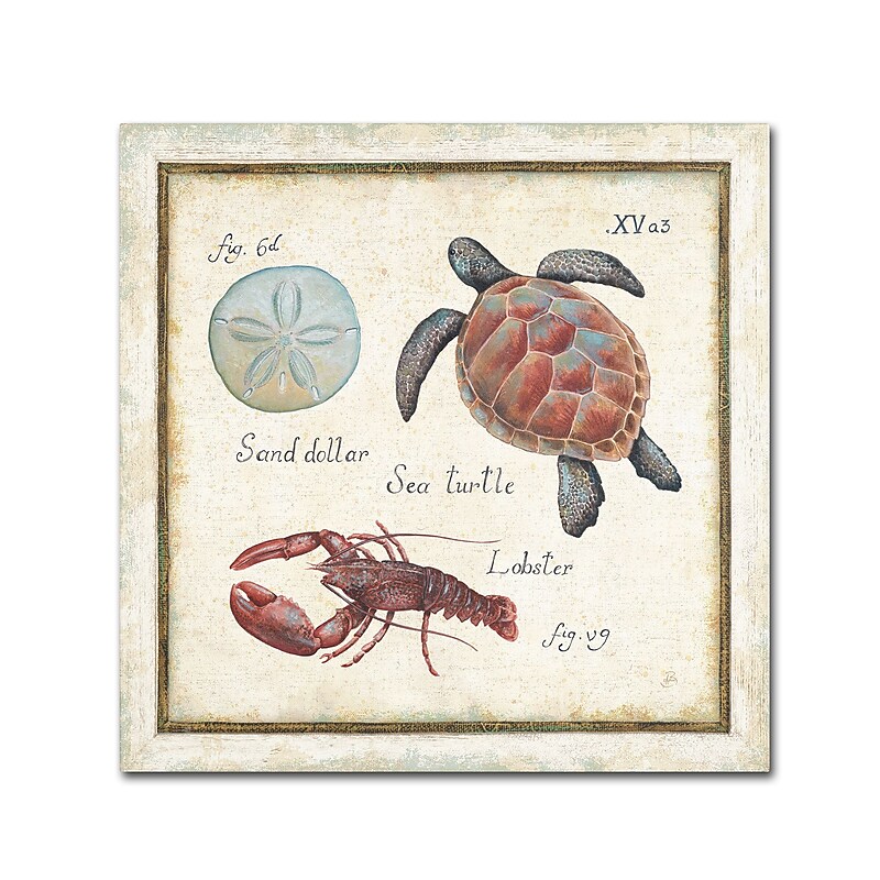 Trademark Daphne Brissonnet "Oceanography II" Gallery-Wrapped Canvas Art, 18" x 18" image 1