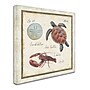Trademark Daphne Brissonnet "Oceanography II" Gallery-Wrapped Canvas Art, 18" x 18"~#|#~m001706456_sc7