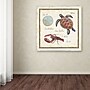 Trademark Daphne Brissonnet "Oceanography II" Gallery-Wrapped Canvas Art, 18" x 18"~#|#~m001706457_sc7