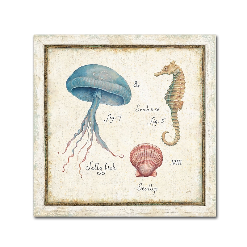 Trademark Daphne Brissonnet "Oceanography III" Gallery-Wrapped Canvas Art, 24" x 24" image 1