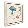 Trademark Daphne Brissonnet "Oceanography III" Gallery-Wrapped Canvas Art, 24" x 24"~#|#~m001706469_sc7