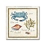Trademark Daphne Brissonnet "Oceanography IV" Gallery-Wrapped Canvas Art, 18" x 18"~#|#~m001706481_sc7