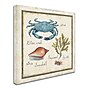 Trademark Daphne Brissonnet "Oceanography IV" Gallery-Wrapped Canvas Art, 18" x 18"~#|#~m001706482_sc7
