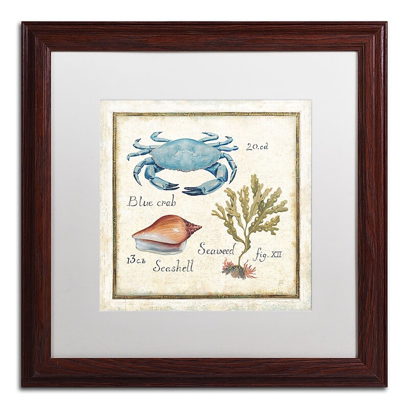 Trademark Daphne Brissonnet "Oceanography IV" Art, White Matte W/Wood Frame, 16" x 16" image 1