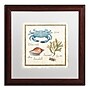 Trademark Daphne Brissonnet "Oceanography IV" Art, White Matte W/Wood Frame, 16" x 16"~#|#~m001706487_sc7