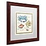 Trademark Daphne Brissonnet "Oceanography IV" Art, White Matte W/Wood Frame, 16" x 16"~#|#~m001706488_sc7