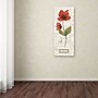 Trademark Daphne Brissonnet "Royal Garden V" Gallery-Wrapped Canvas Art, 14" x 32"~#|#~m001706546_sc7