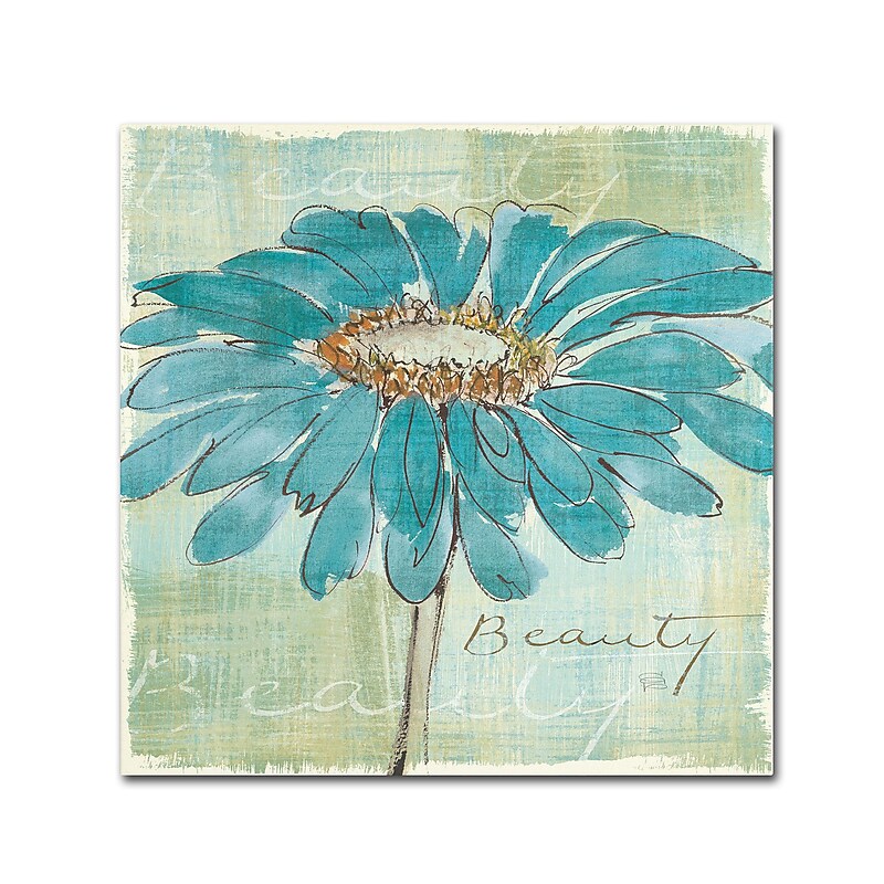 Trademark Chris Paschke "Spa Daisies I" Gallery-Wrapped Canvas Art, 24" x 24" image 1