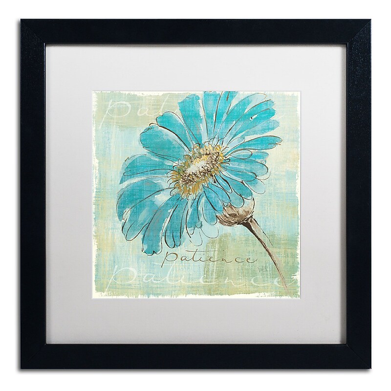 Trademark Chris Paschke "Spa Daisies II" Art, White Matte With Black Frame, 16" x 16" image 1