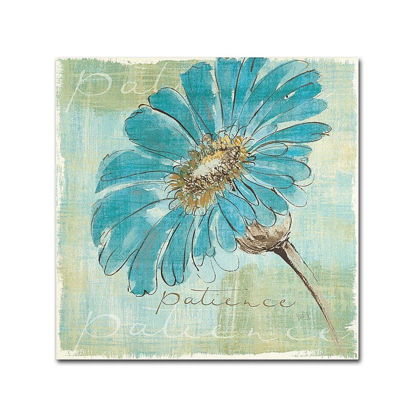 Trademark Chris Paschke "Spa Daisies II" Gallery-Wrapped Canvas Art, 14" x 14" image 1