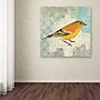 Trademark Kathrine Lovell "Pine Warbler" Gallery-Wrapped Canvas Art, 18" x 18"~#|#~m001706689_sc7