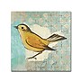 Trademark Kathrine Lovell "Wilson Warbler II" Gallery-Wrapped Canvas Art, 24" x 24"~#|#~m001706700_sc7