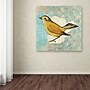 Trademark Kathrine Lovell "Wilson Warbler II" Gallery-Wrapped Canvas Art, 24" x 24"~#|#~m001706702_sc7