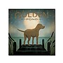 Trademark Ryan Fowler "Moonrise Yellow Dog Golden Pond" Gallery-Wrapped Canvas Art, 18" x 18"~#|#~m001706757_sc7