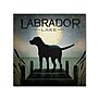 Trademark Ryan Fowler "Moonrise Black Dog Labrador Lake" Gallery-Wrapped Canvas Art, 18" x 18"~#|#~m001706770_sc7