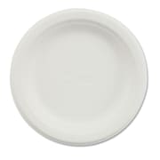 Chinet Paper Dinnerware and Plate by