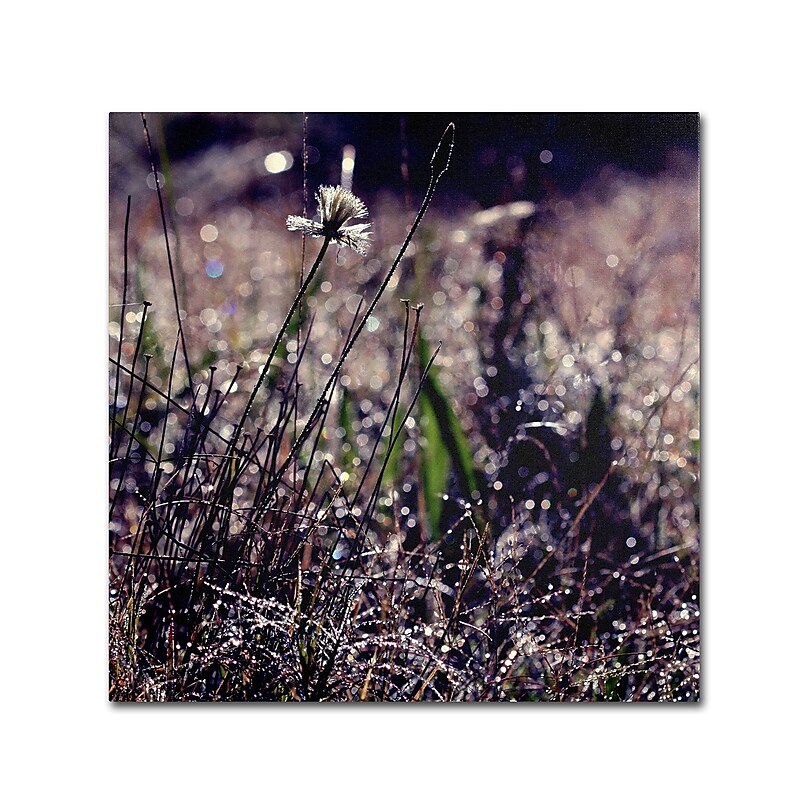 Trademark Fine Art BC0142-C3535GG "Purple Morning" by Beata Czyzowska Young 35" x 35" Frameless Art image 1