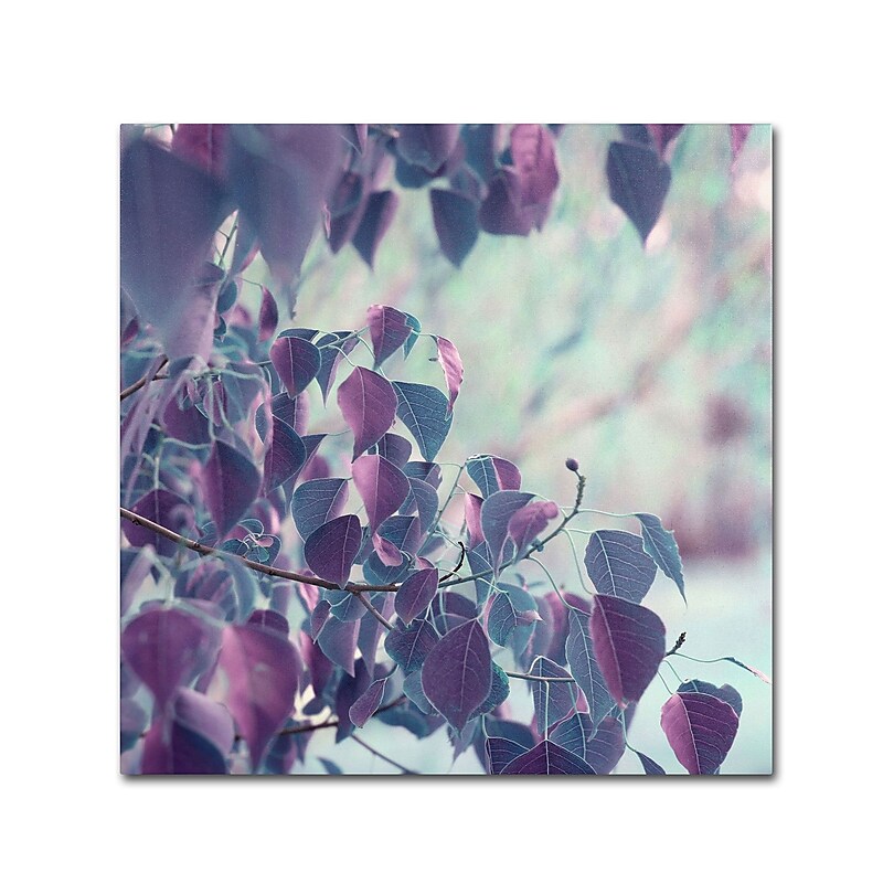 Trademark Fine Art BC0146-C3535GG "Summer Thoughts" by Beata Czyzowska Young 35" x 35" Frameless Art image 1
