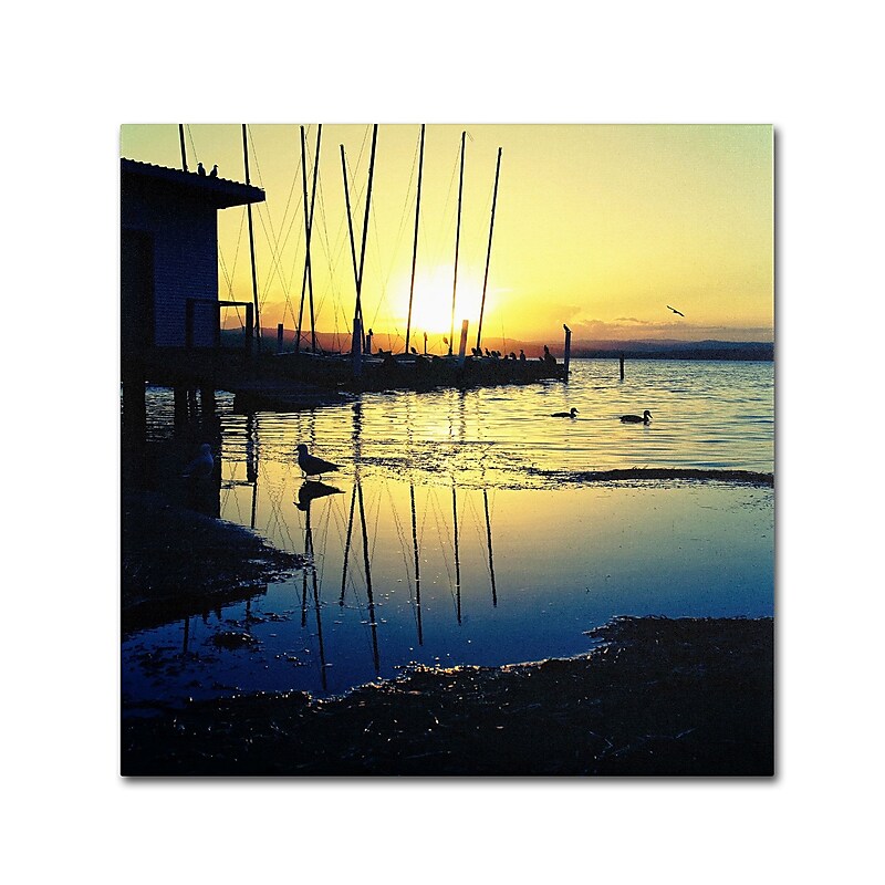 Trademark Fine Art BC0149-C3535GG Sunset Conversations by Beata Czyzowska Young 35x35 FRMLS Art image 1