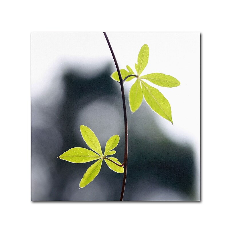 Trademark Fine Art BC0153-C3535GG "Two of Us" by Beata Czyzowska Young 35" x 35" Frameless Art image 1