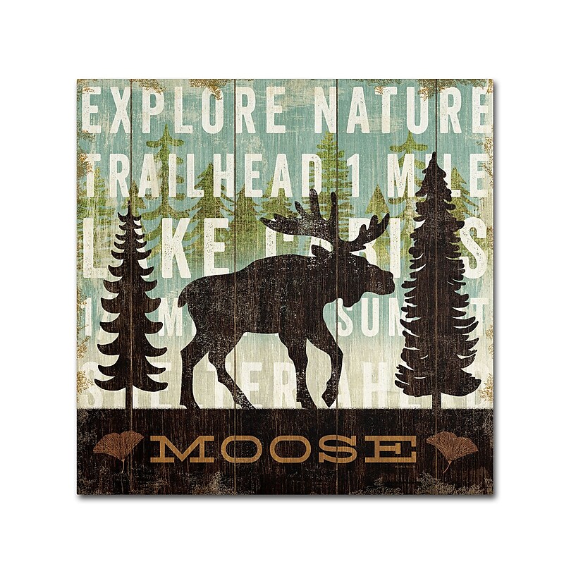 Trademark Fine Art WAP0119-C1414GG "Simple Living Moose" by Michael Mullan 14" x 14" Frameless Art image 1