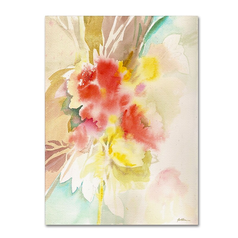 Trademark Fine Art SG5698-C3547GG "Red Flower Shadows" by Sheila Golden 47" x 35" Frameless Art image 1