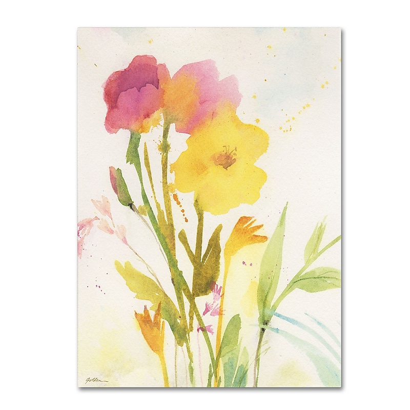 Trademark Fine Art SG5714-C1824GG "Wildflowers Against the Sky" by Sheila Golden 24" x 18" FRMLS Art image 1