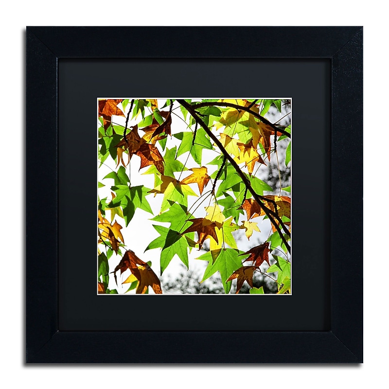 Trademark Fine Art BC0122-B1111BMF "First Signs" by Beata Czyzowska Young 11" x 11" FRM Art, BLK MTD image 1